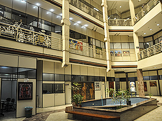 Relatório apresenta dados relativos ao ano de 2015