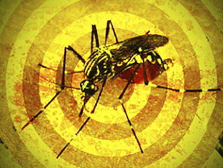 População deve ficar atenta para a vacinação e medidas de combate ao mosquito