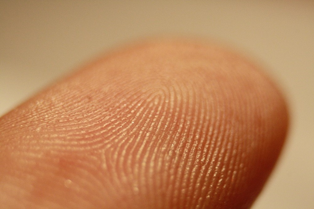 Dedo masculino com impressões digitais visíveis