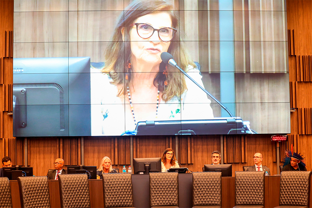 ot---II-Seminario-Acesso-a-Justica-e-Povos-Indigenas.jpg