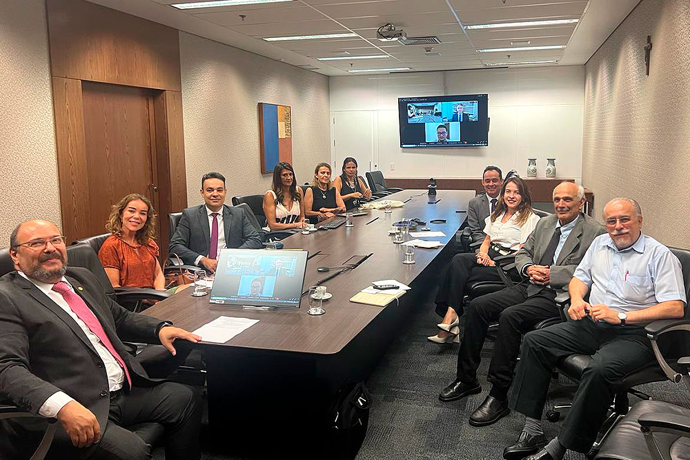 Not---Reuniao-do-Grupo-de-Trabalho-sobre-o-NatJus.jpg
