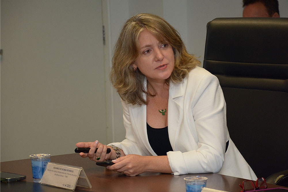 Not---1-Reuniao-do-Comite-de-Politicas-Penais-9-Solange-de-Borba.jpg