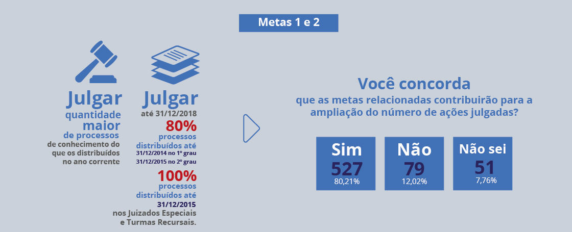 metas_1_2-01.jpg