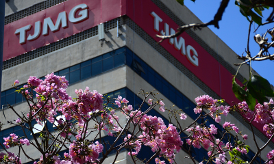 TJMG se destaca na afetação de temas repetitivos criminais do STJ