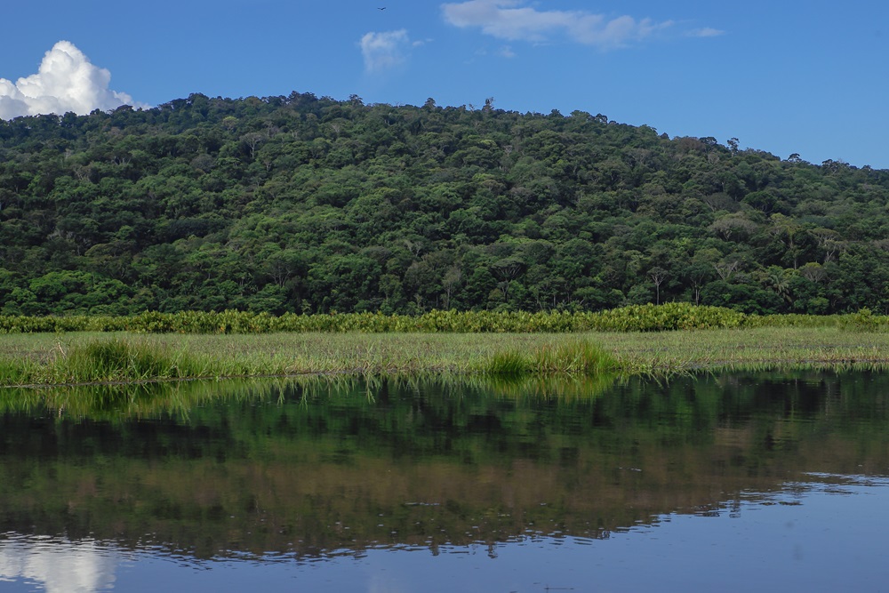Not--Acude--Lago.jpg