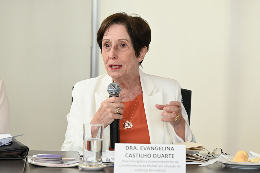 Not---3--Reuniao-TCE---COMSIV.jpg