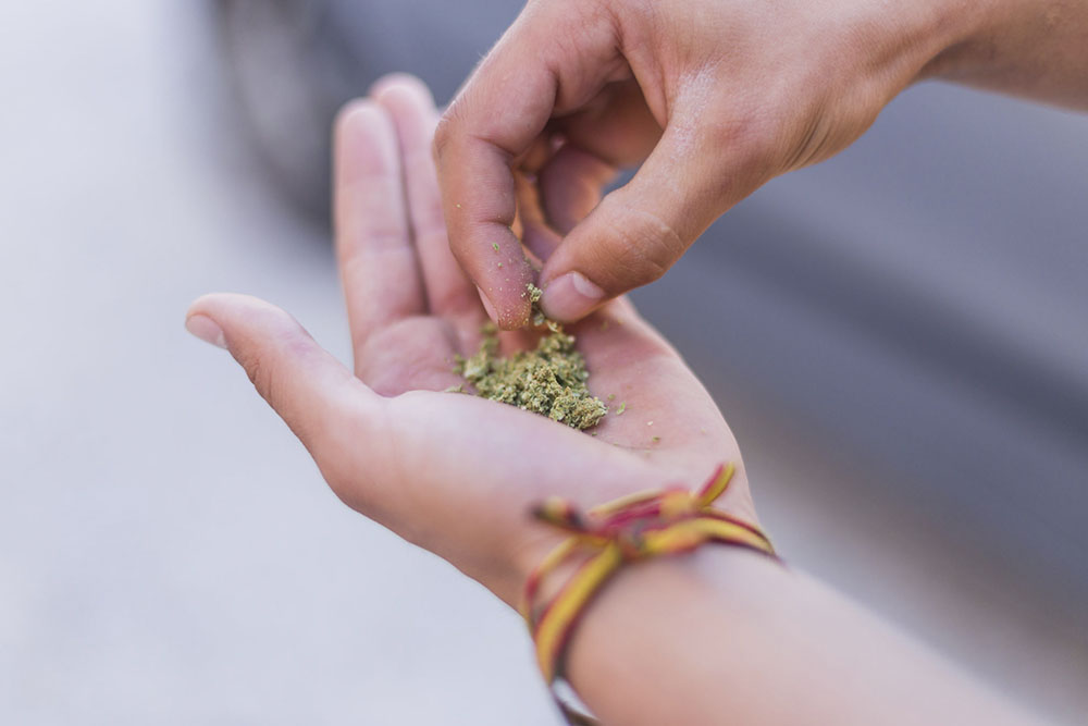 Not-apreensao-maconha.jpg