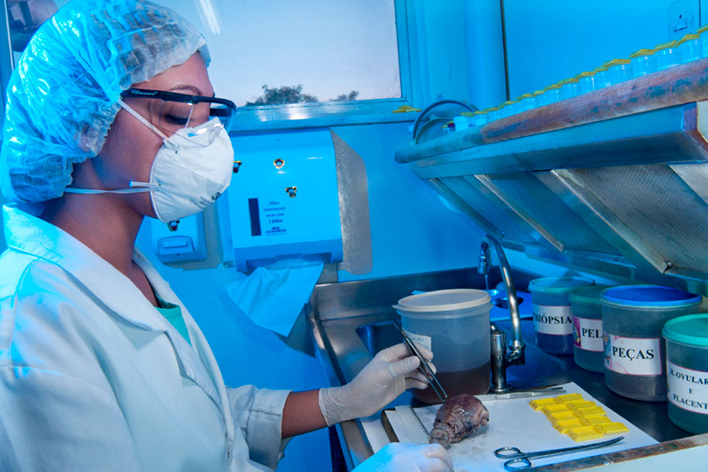 Profissional manipula tecido humano em laboratório