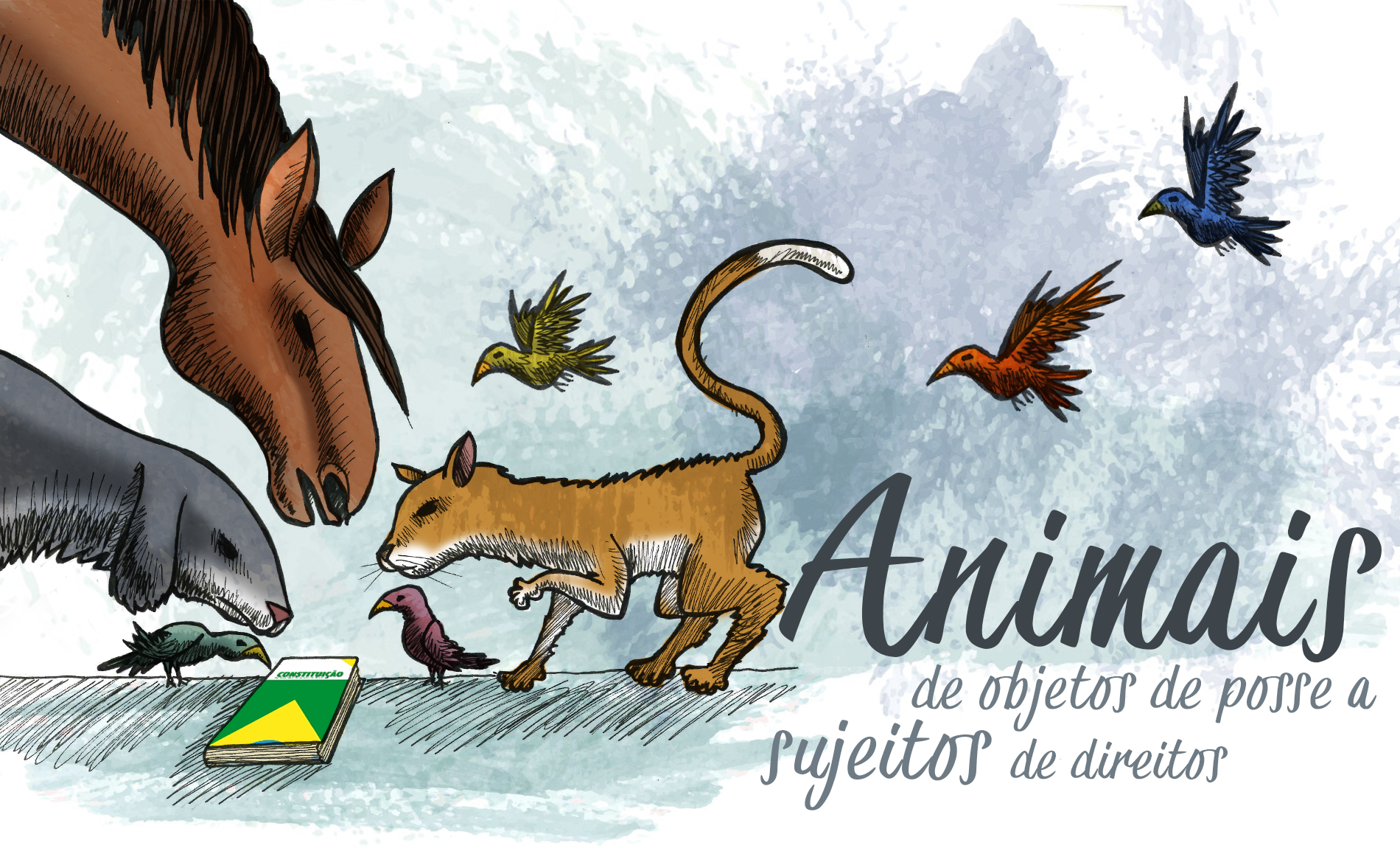 Animais: de objetos de posse a sujeitos de direitos.