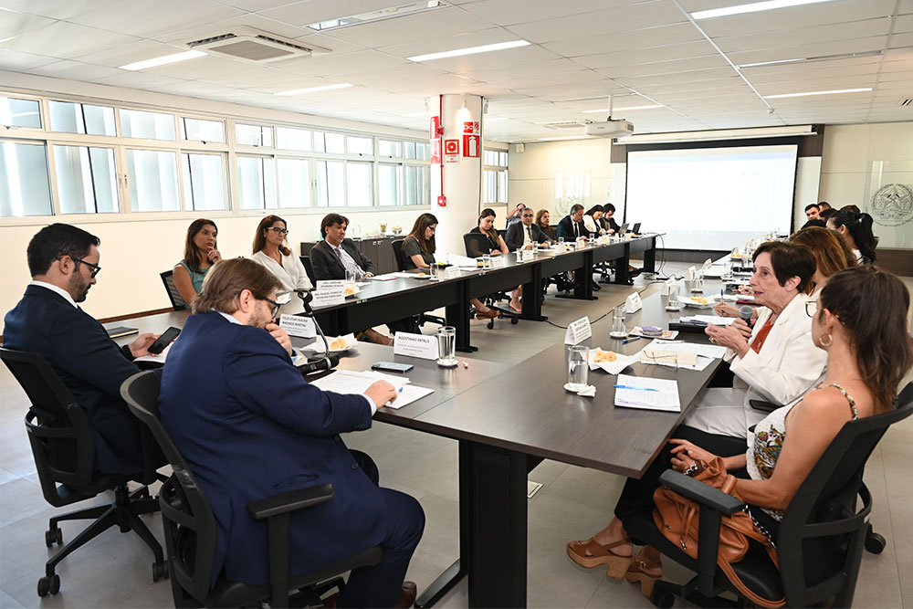 Not---1---Reuniao-TCE---COMSIV.jpg