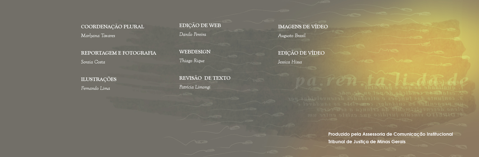 Coordenação plural: Marlyana Tavares, reportagem e fotografia: Soraia Costa, webdesign: Thiago Rique,  edição de Web: Danilo Pereira, revisão de texto: Patrícia Limongi, ilustração: Fernando Lima, imagens de vídeo: Augusto Brasil, edição de vídeo: Jéssica Hissa. Produzido pela Assessoria de Comunicação Institucional, Tribunal de Justiça de Minas Gerais.