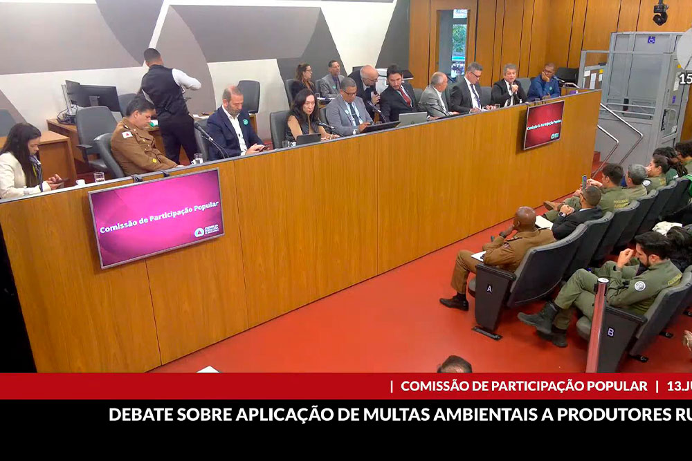 Not-AudienciaPublicaAssembleia-DesMameluque.jpg