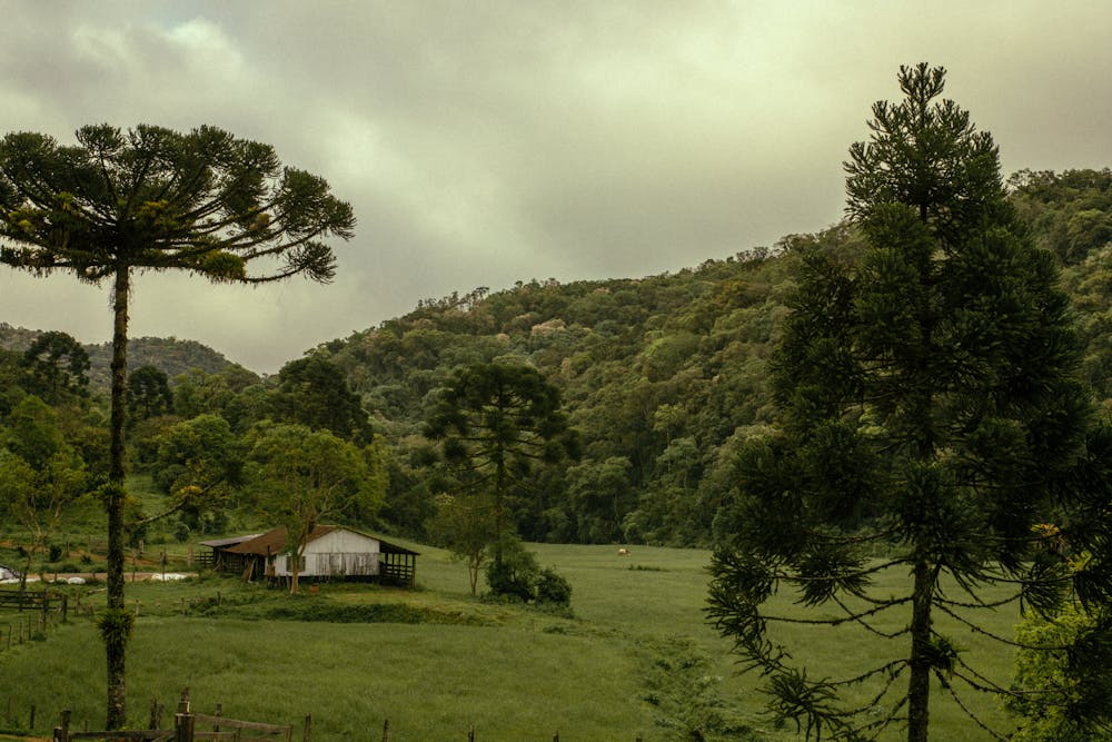 area_rural_not.jpg