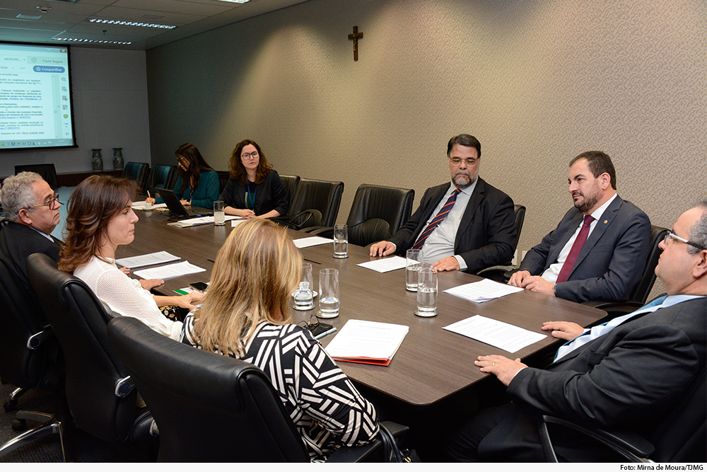 Presidente e integrantes do conselho em mesa de reunião