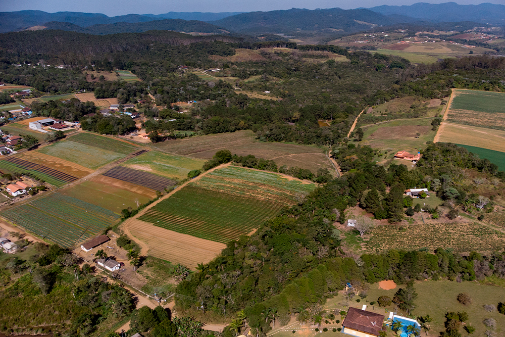 Not 1 Decisao Loteamento no Brasil.jpg