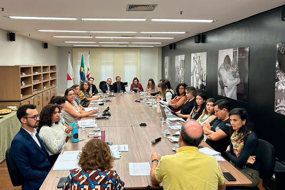 Not 2 Reuniao Comite Politica Antimanicomial.jpg