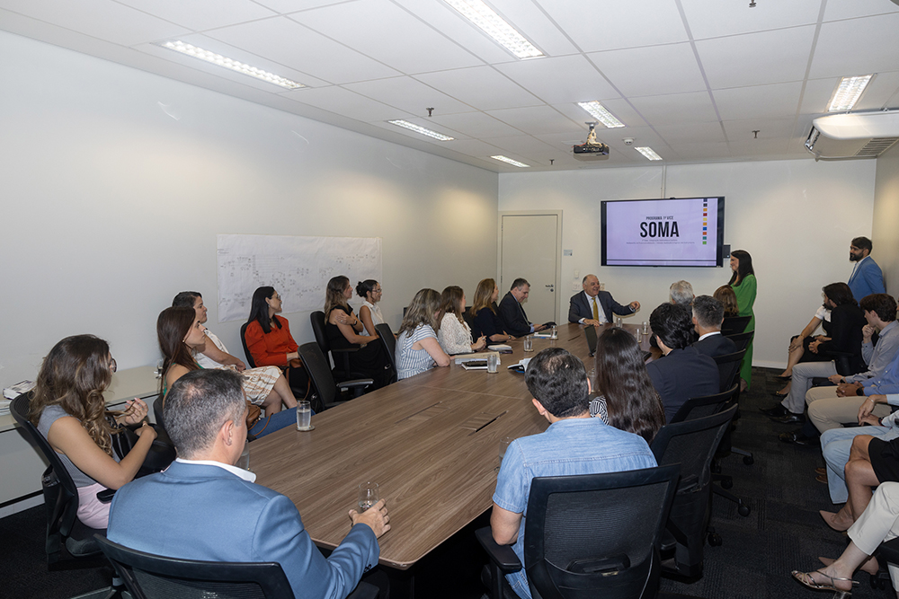 Not 2 Reuniao 1 Vice Programa SOMA.jpg