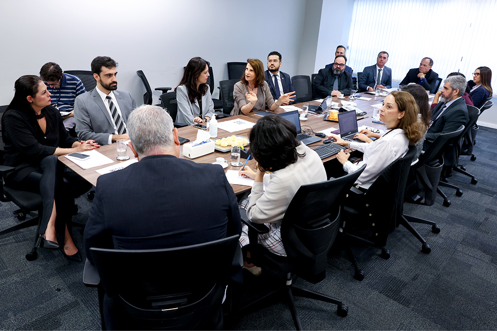 Not 18 Reuniao Nucleo Interinstitucional Regul Fundiaria-NUIREF5.jpg