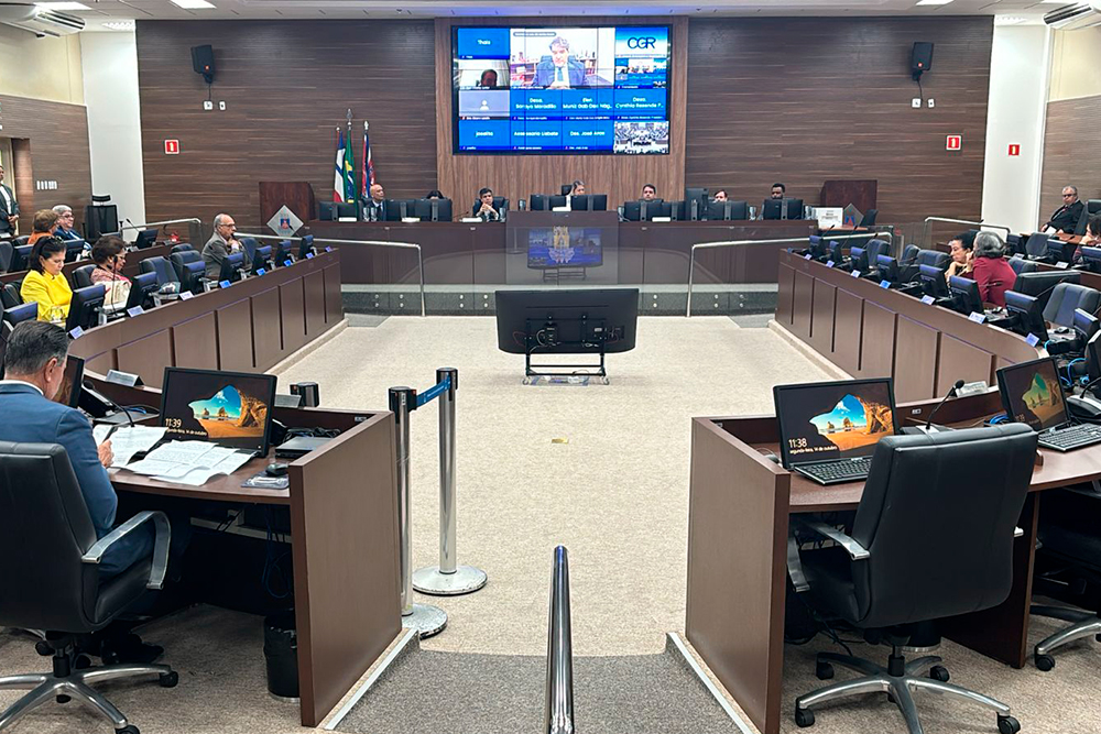 not--Desembargador-Leite-Praca-videoconferencia--eproc.jpg