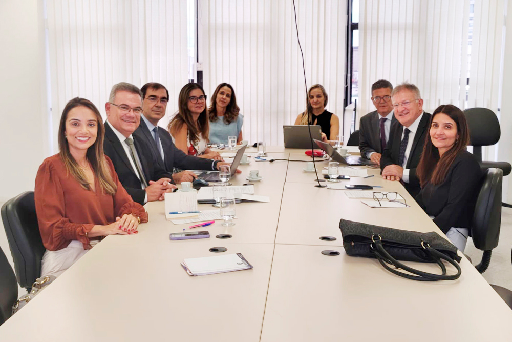 Not 1 Reuniao da Coordenadoria da Infancia e Juventude COINJ.jpg