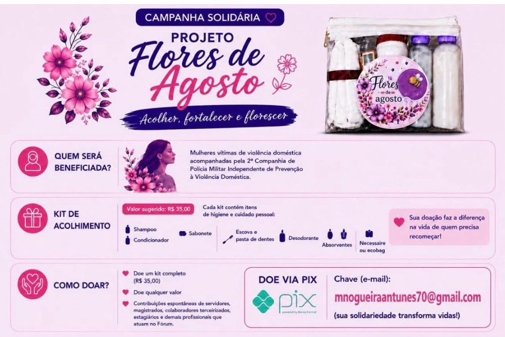 noticia campanha violencia domestica.jpg