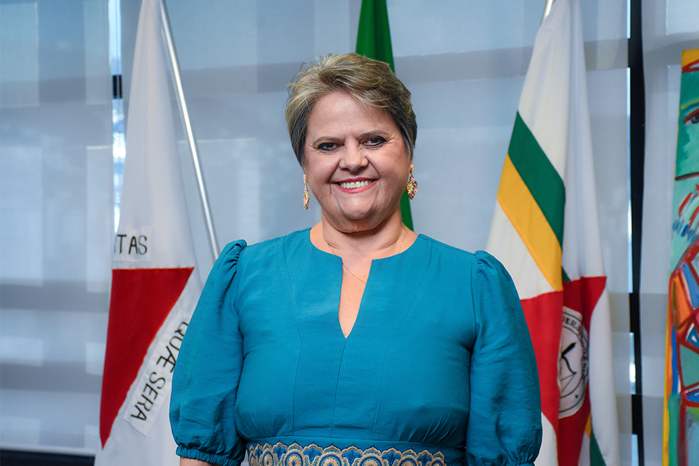 Not----Desa-Karin-Emmerich-Reuniao-da-nova-diretoria._1.jpg