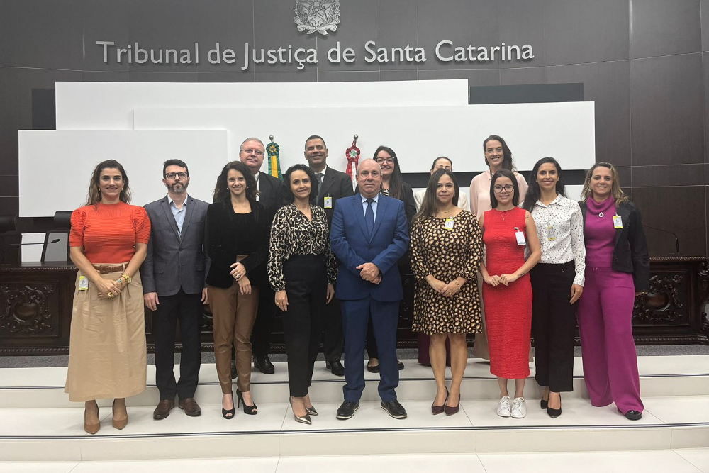 not-primeiravicepresidencia-visita-tjsc-valesesta.jpg