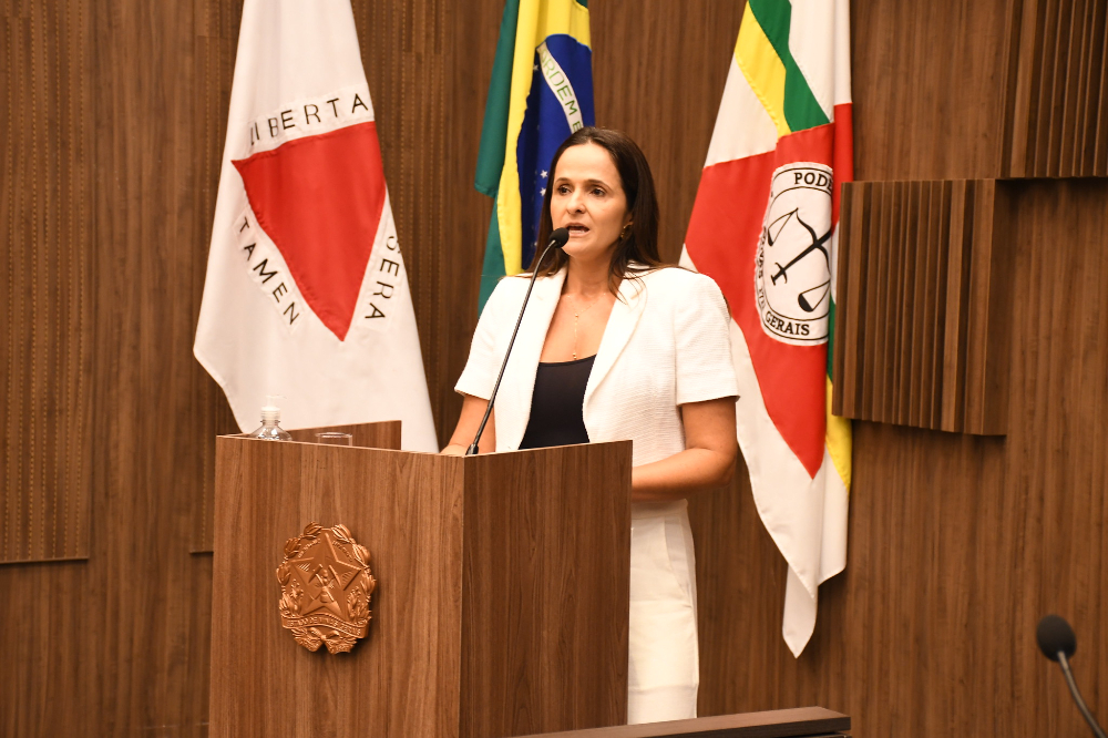 not-seminariointegridade-moisa.jpg