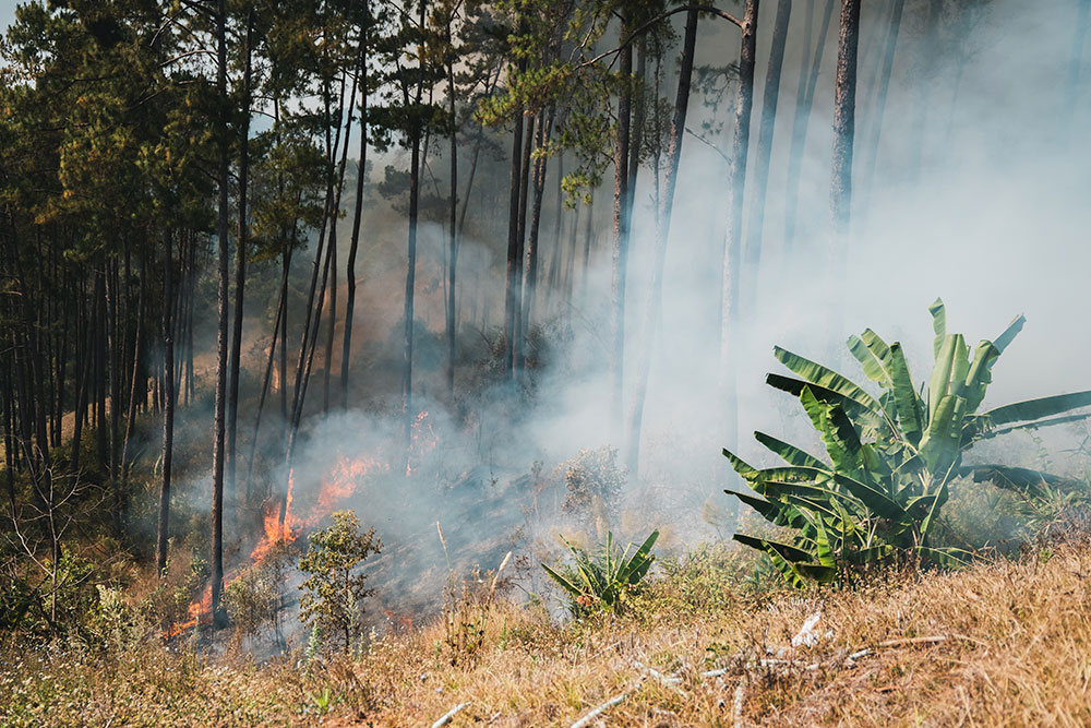 not-Incendio.jpg