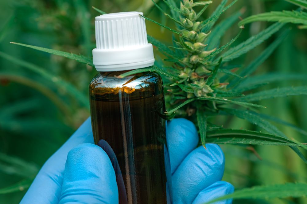 not oleo cannabis.jpg