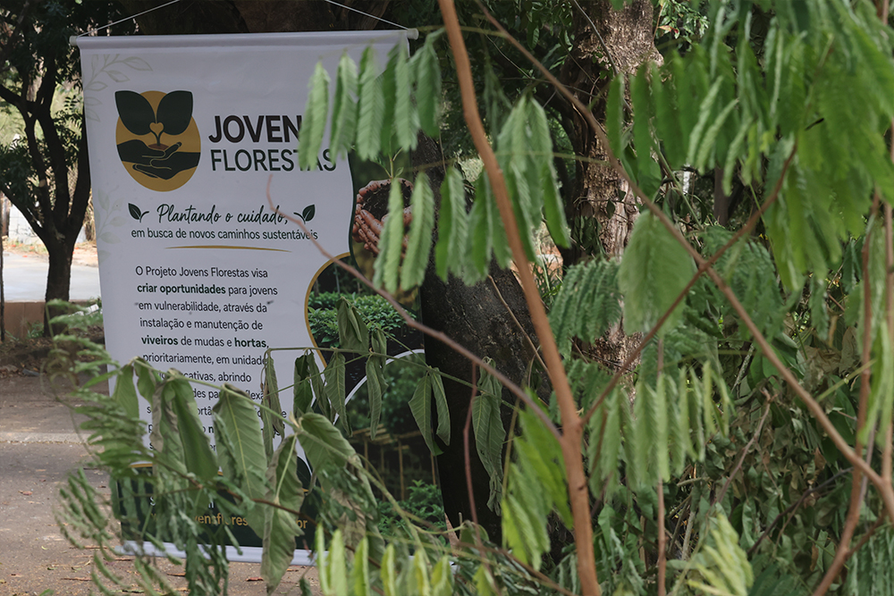 Not---Projeto-Jovens-Florestas2.jpg