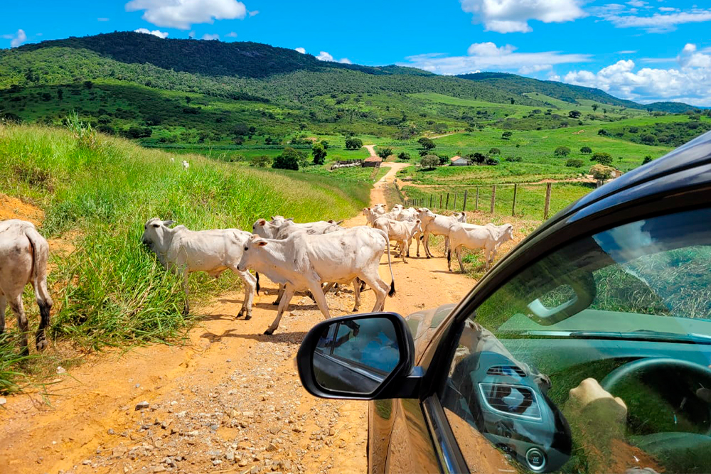 Not---Veiculos-4X4-adquiridos-pelo-Tribunal-ja-em-servico._1.jpg