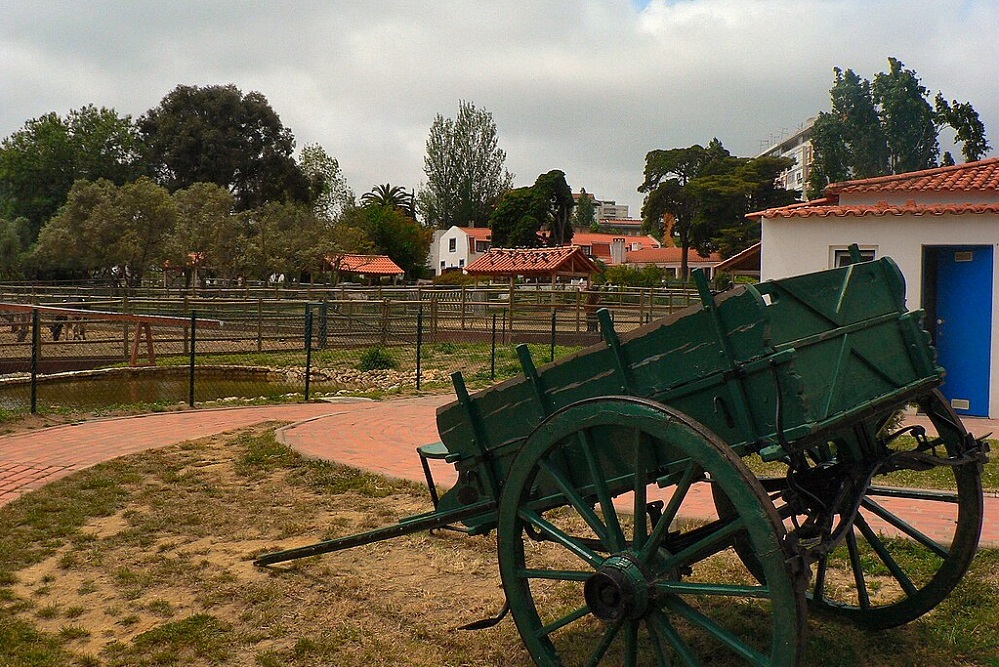 Carroca.JPG