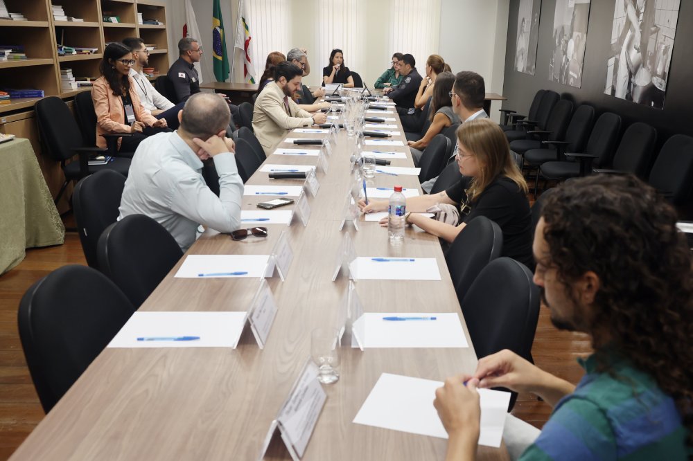 Not Reuniao Comite Politica Penais.JPG