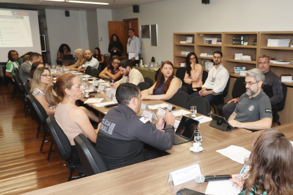 Not Reuniao Comite Politica Penais 2.JPG