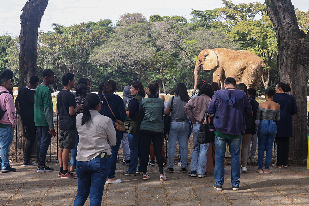Not---Acao-COINJ-Zoologico-----2-------.jpg