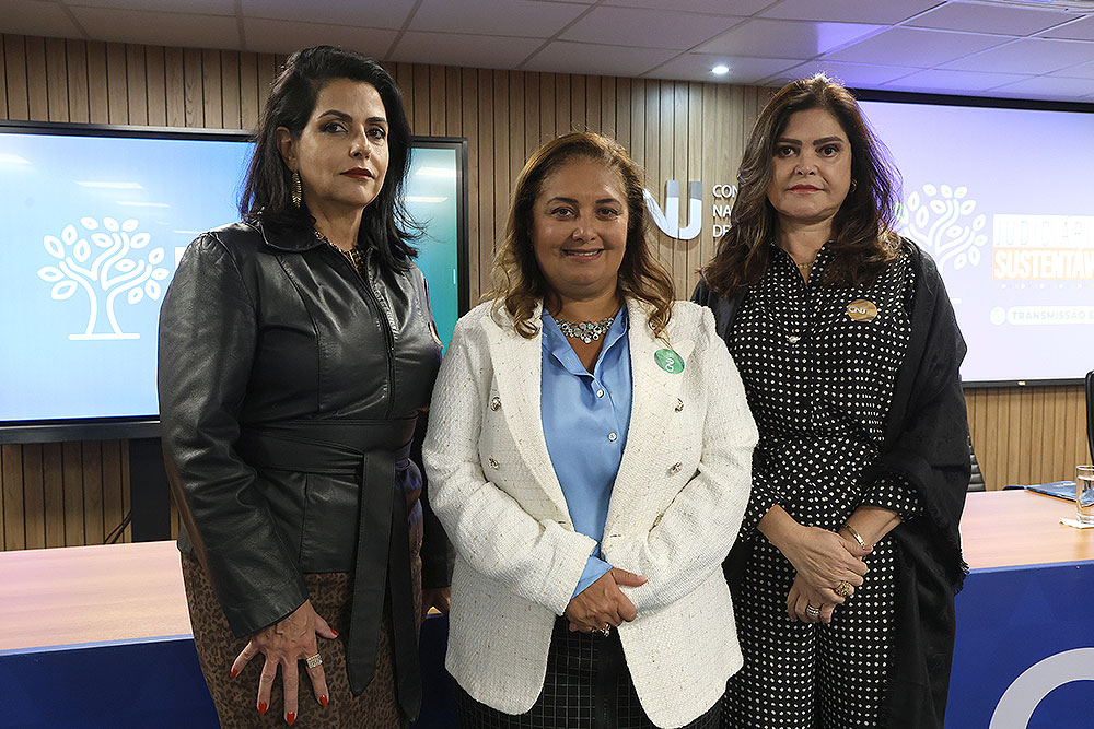 Not---Palestra-Meio-Ambiente-e-Poder-Judiciario-e-apresentacao-do-Balanco-da-Sustentabilidade3.jpg