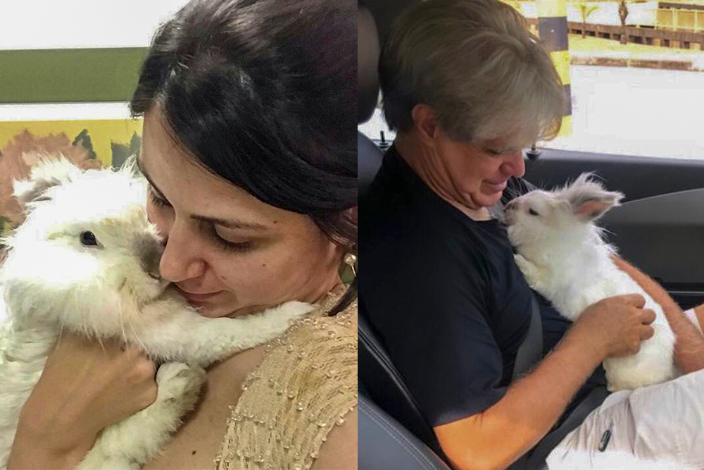 Mulher jovem e homem idoso com coelho