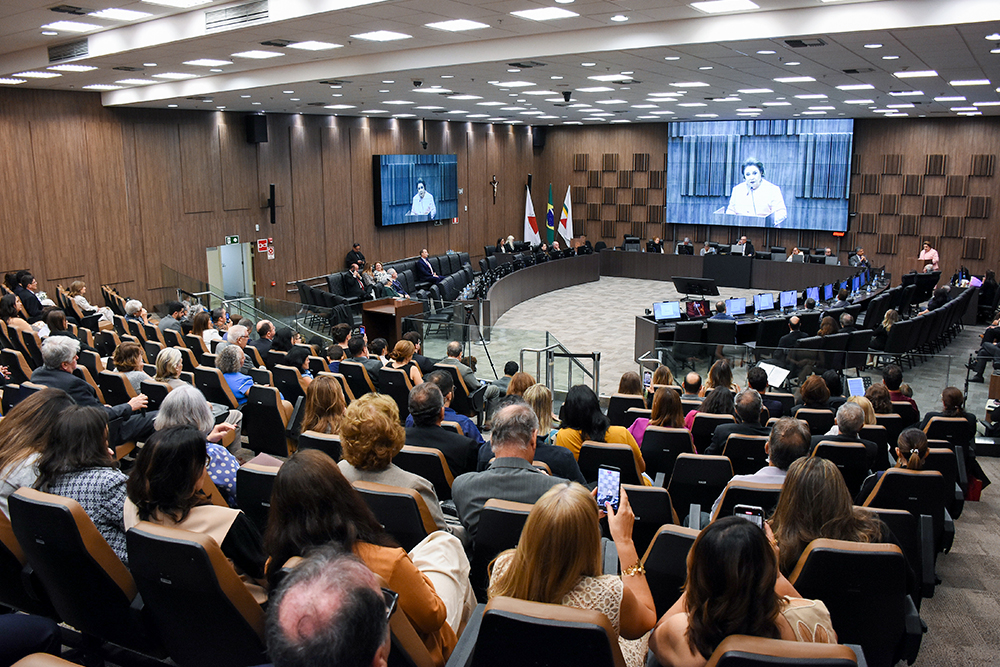 Not---Homenagem-desa.-Mariangela-Meyer.7.jpg