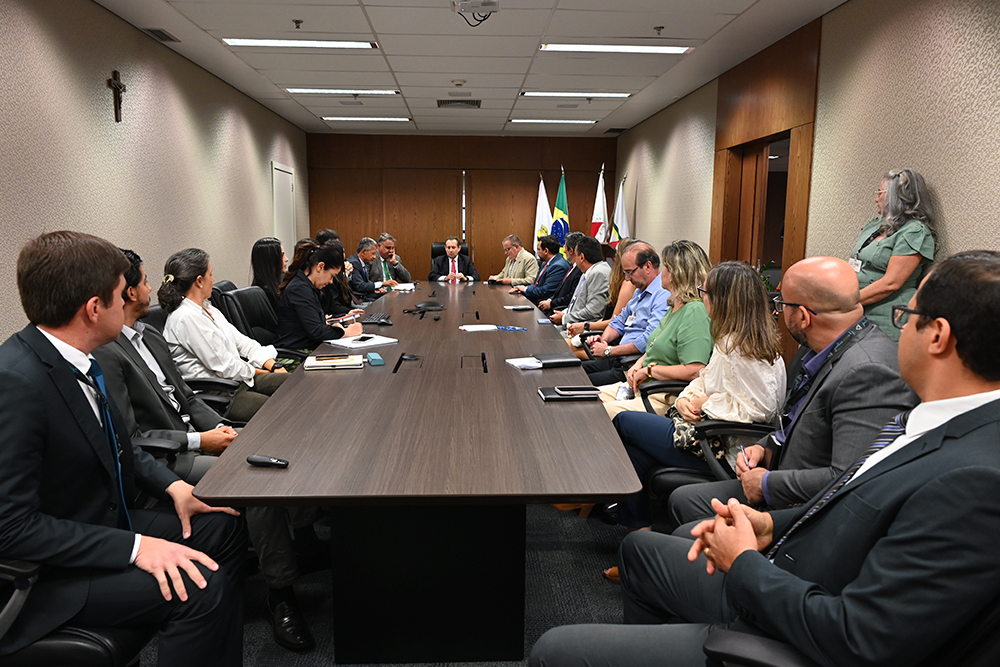 Not-1---Reuniao-do-Comite-de-Governanca-e-Gestao-Estrategica.jpg