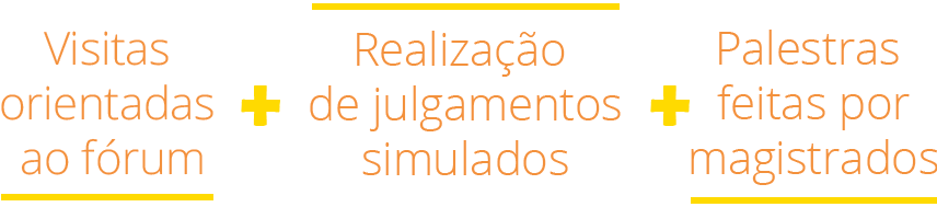 Visitas orientadas ao forum + Realização de julgamentos simulados + Palestras feitas por magistrados.