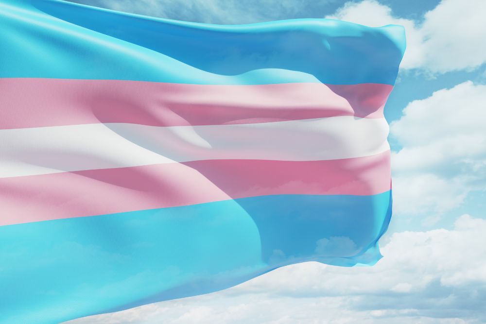 not bandeira transgenero.jpg