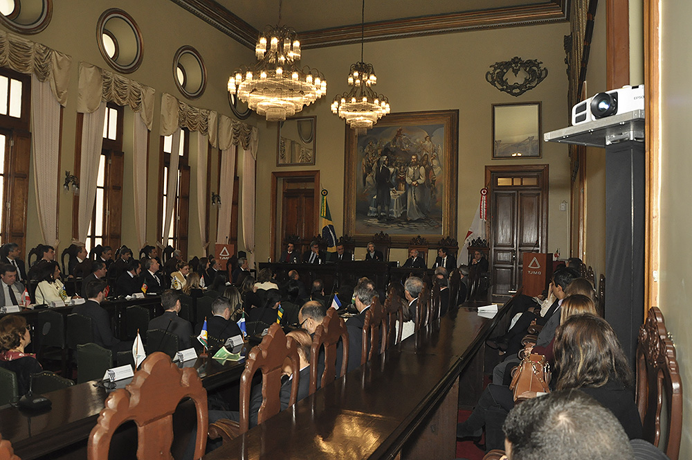 Palestra Carmen Lucia.jpg