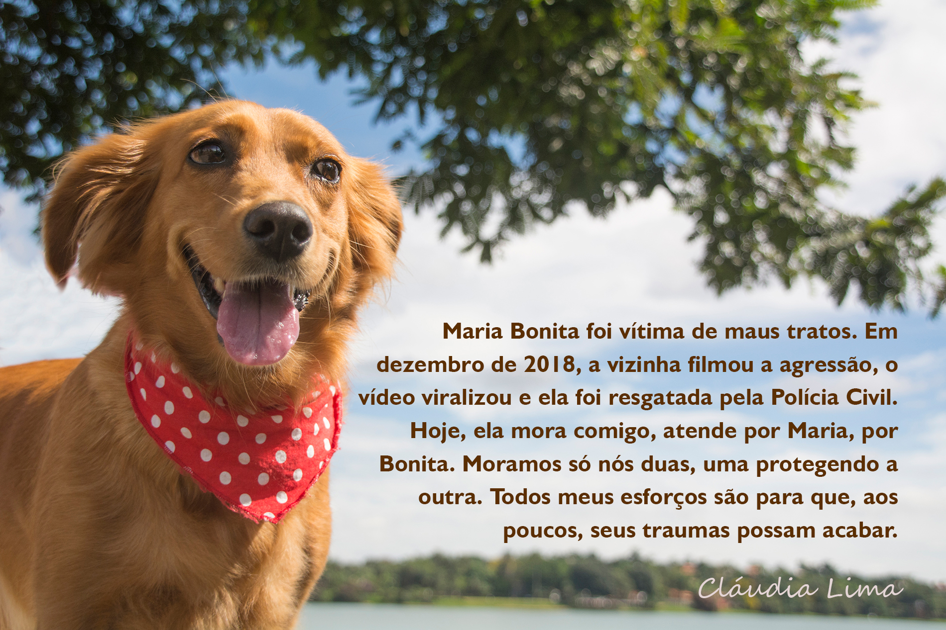 cachorra Maria Bonita