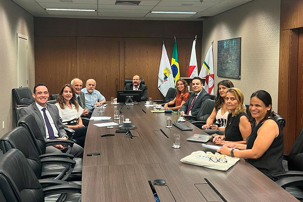 Not---Reuniao-do-Grupo-de-Trabalho-sobre-o-NatJus1.jpg