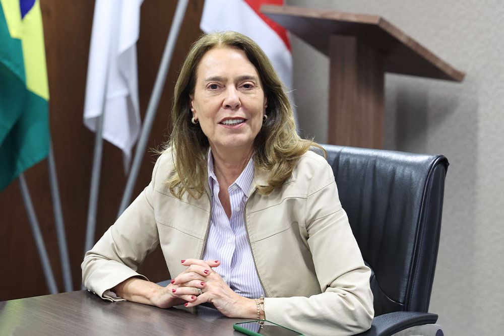 Not-Reuniao-sobre-carbono-zero-Des-Monica-Libanio.jpg