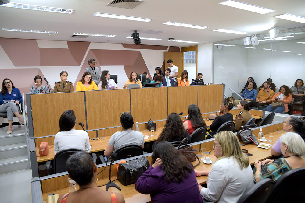 Not---Aud-pub-da-Comissao-de-Def-dos-Direitoe-da-Mulher-da-ALMG.2.jpg