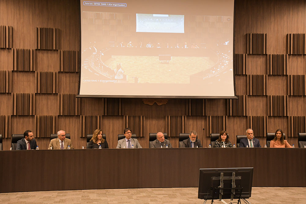 Giernaca de dados - Abertura-semana-LGPD - Cecilia PederzoliTJMG.jpg