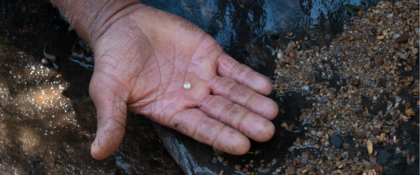 diamante na palma da mão garimpeiro
