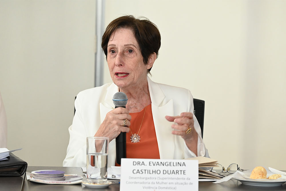 Desa-Evangelina-Castilho-Duarte---baixa--foto-Glaucia-Rodrigues-_2_.JPG
